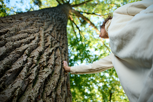 Helping Recovery Take Root